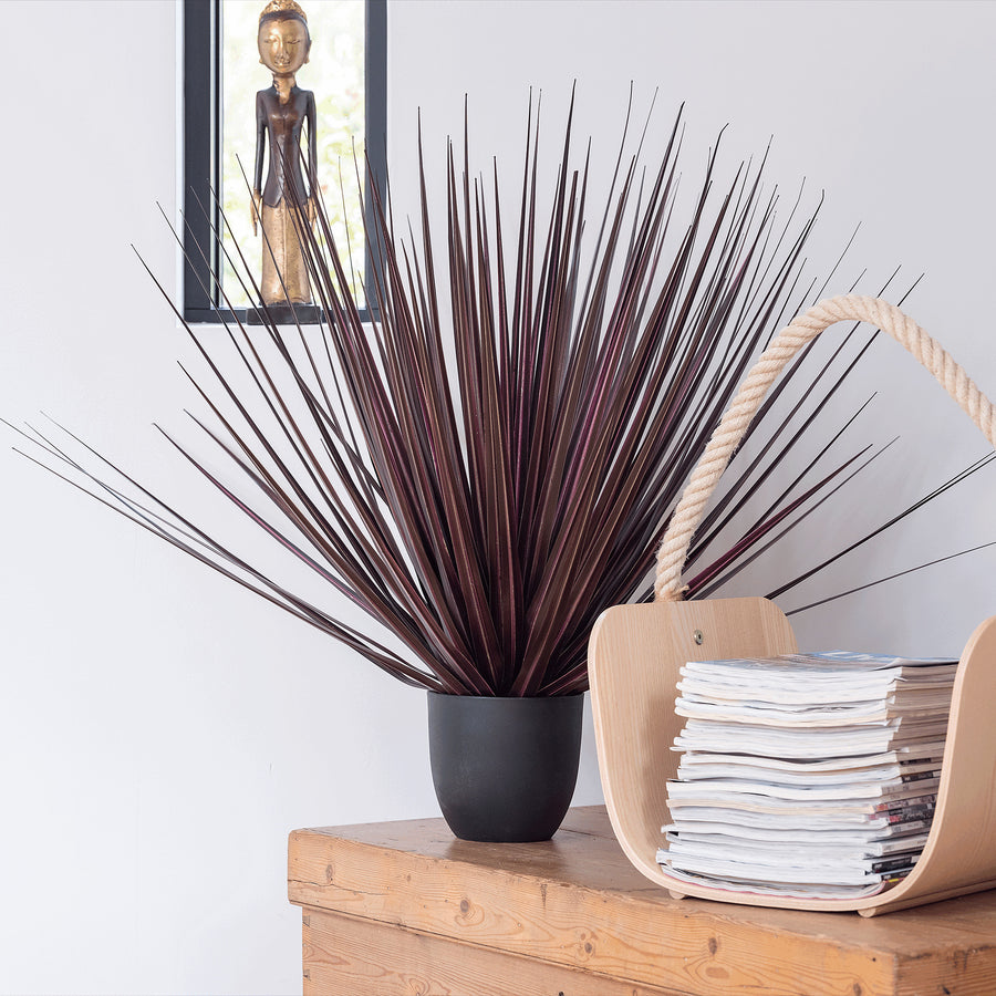 Decorative plant in a black pot on a wooden surface with a woven basket and stack of books.