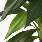 Artificial dracaena tree leaves