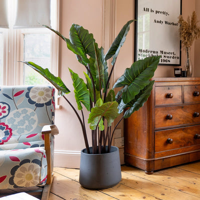 Living room with floral armchair, potted plant, and wooden dresser.