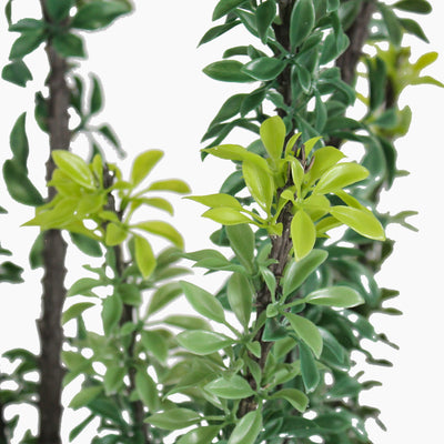 Artificial euphorbia tree foliage