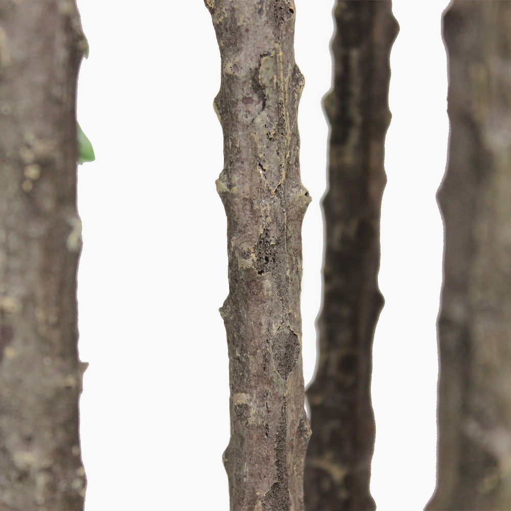 Artificial euphorbia tree stems