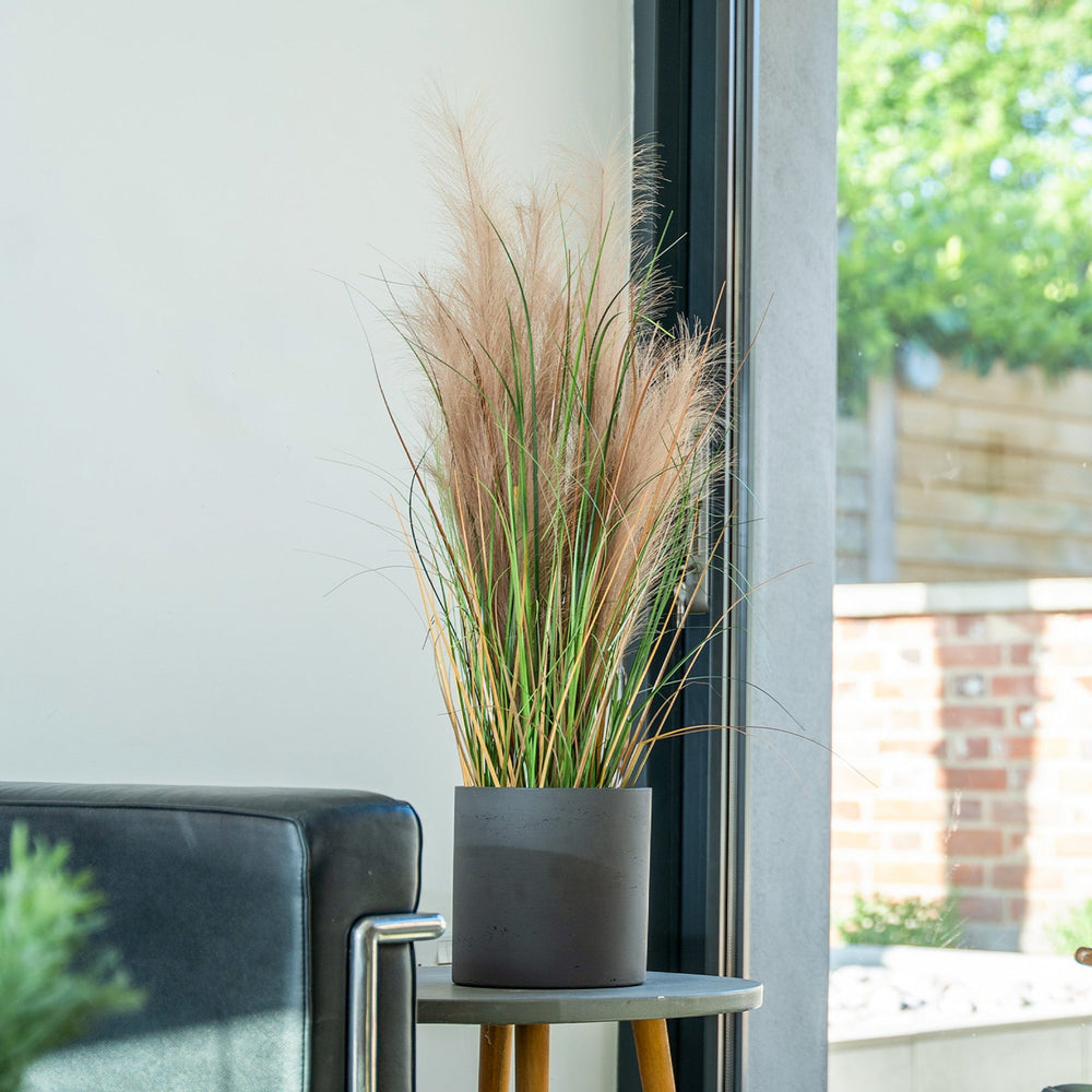Potted plant on a small table near a window with a view of greenery outside.