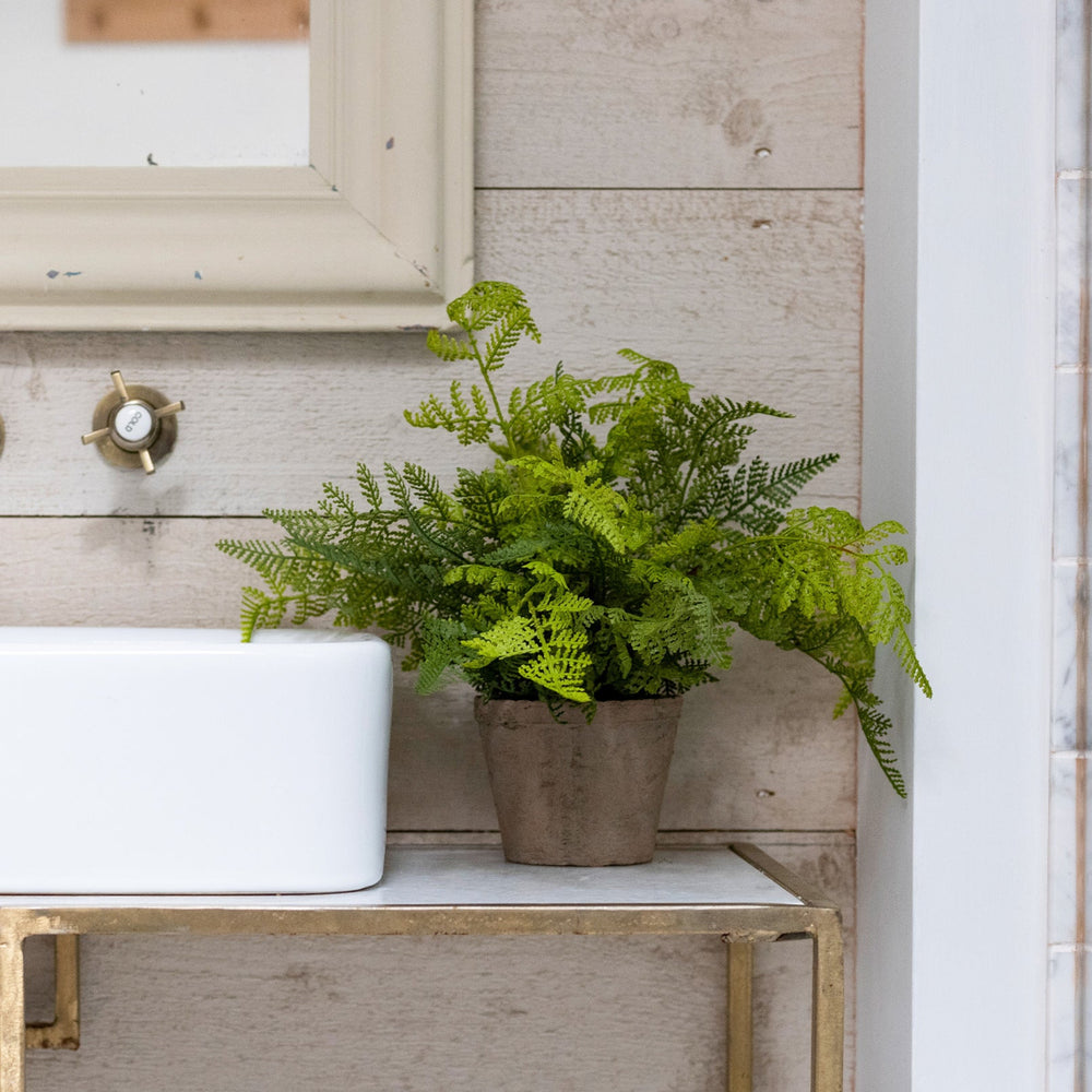 White sink with gold fixtures and a potted plant on a wooden shelf.