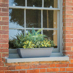 Window box with plants on a brick wall