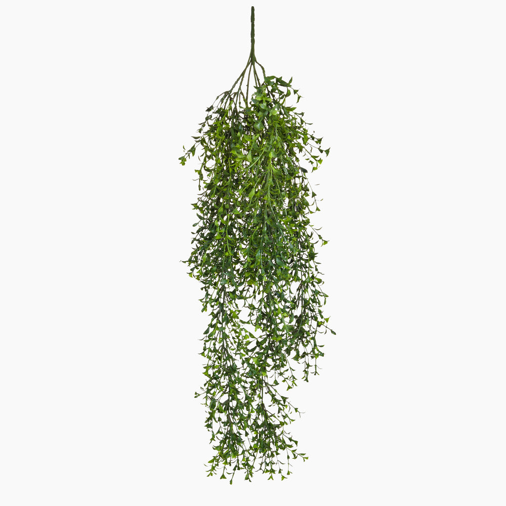 Hanging bundle of green leaves on a white background