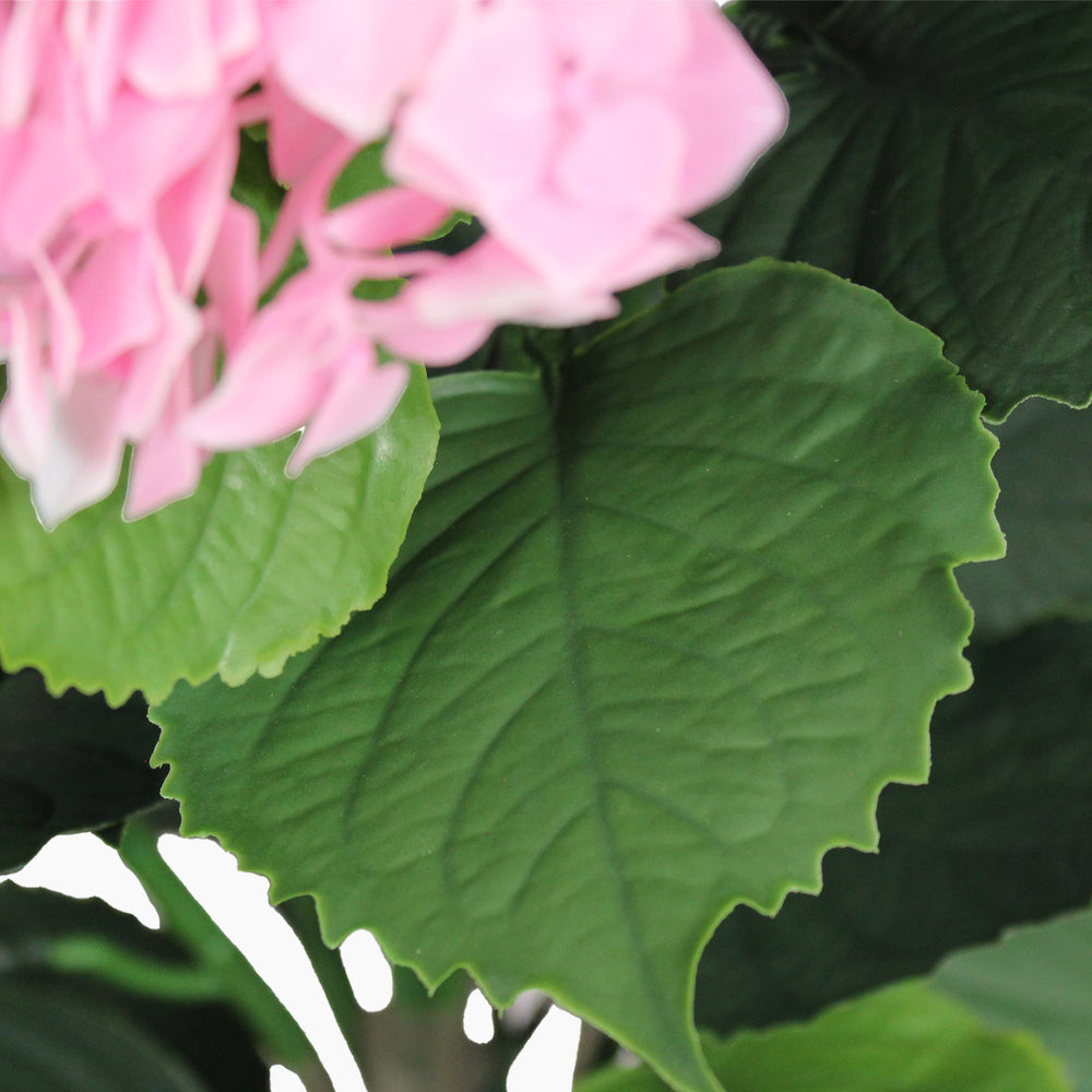 Artificial hydrangea shrub leaves