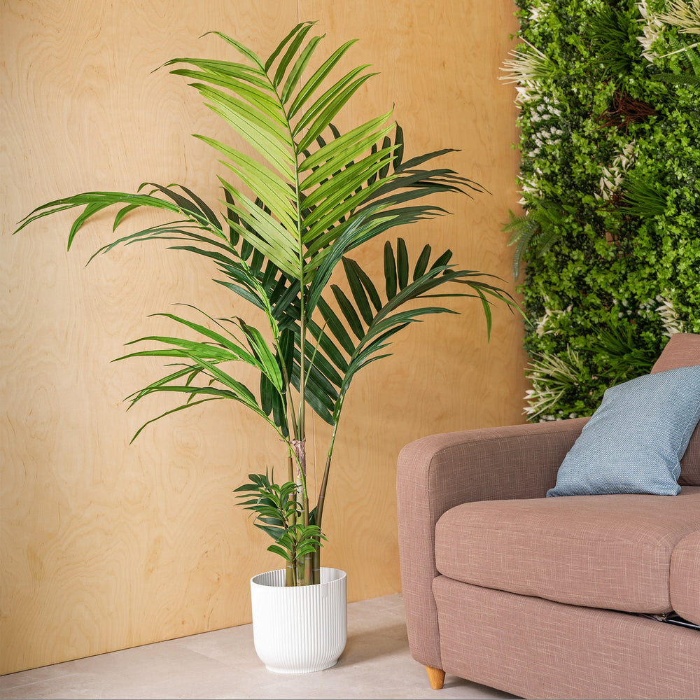 Potted plant next to a brown sofa with a blue pillow against a beige wall.