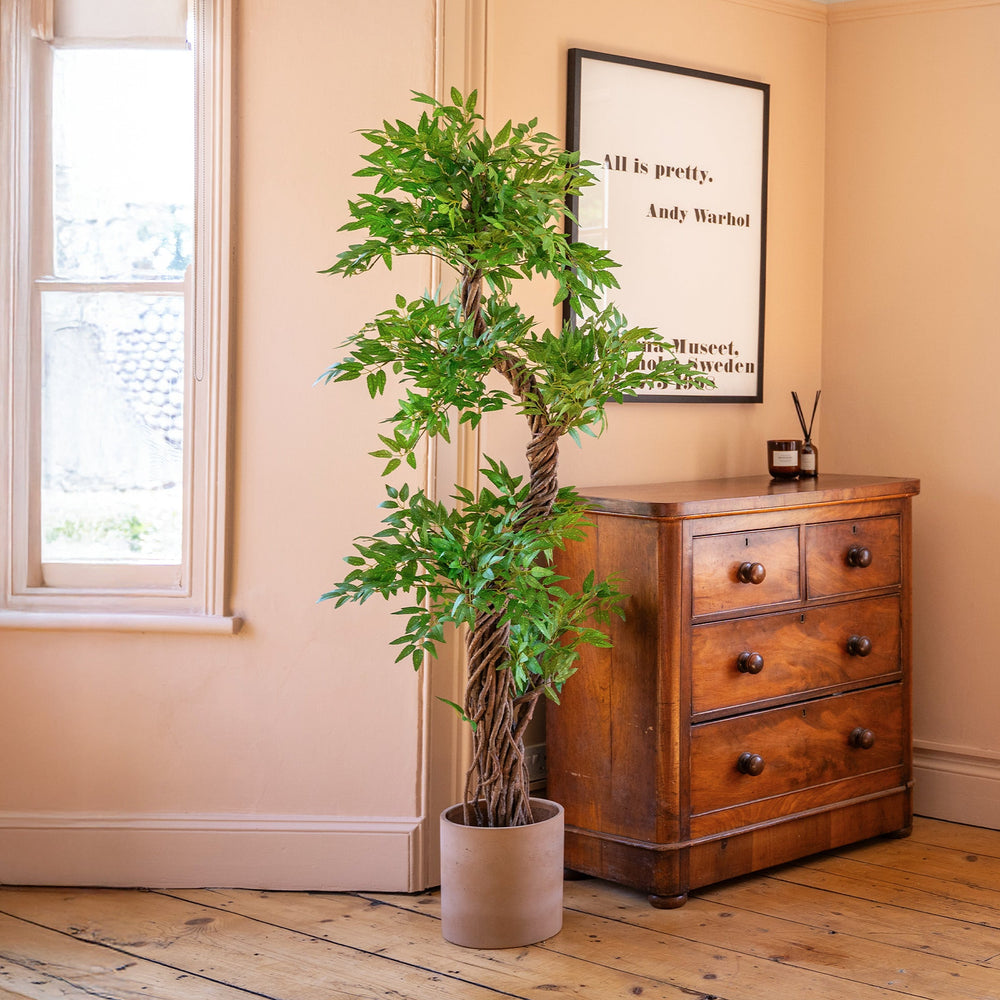 Wooden dresser with a potted plant and framed artwork in a room with wooden flooring.