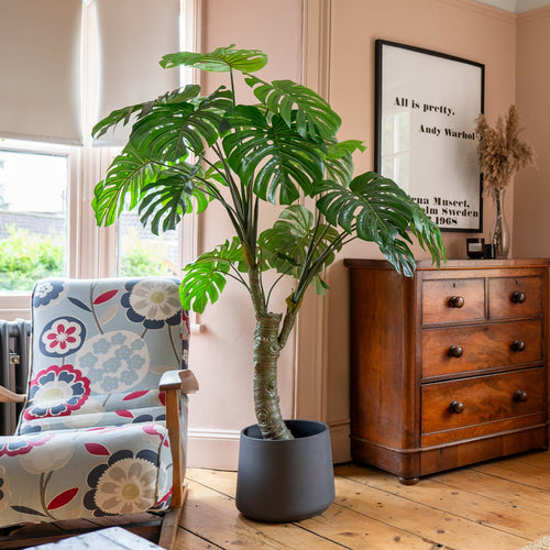 Room interior with a potted plant, wooden dresser, and floral armchair.