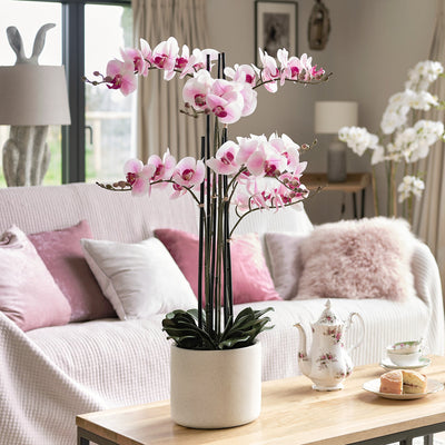 Living room with pink orchids on a coffee table, white sofa, and large windows.