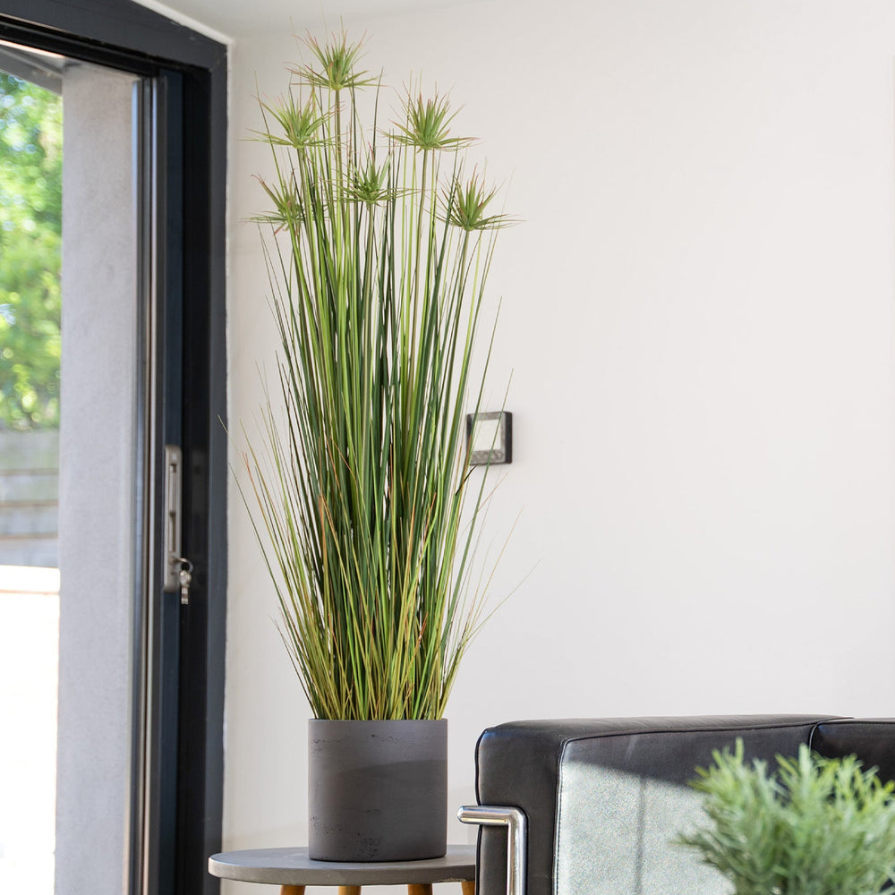 Modern interior with a tall potted plant, black sofa, and abstract art on the wall.