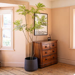 Wooden dresser with a potted plant and framed picture in a room with windows and wooden floor.