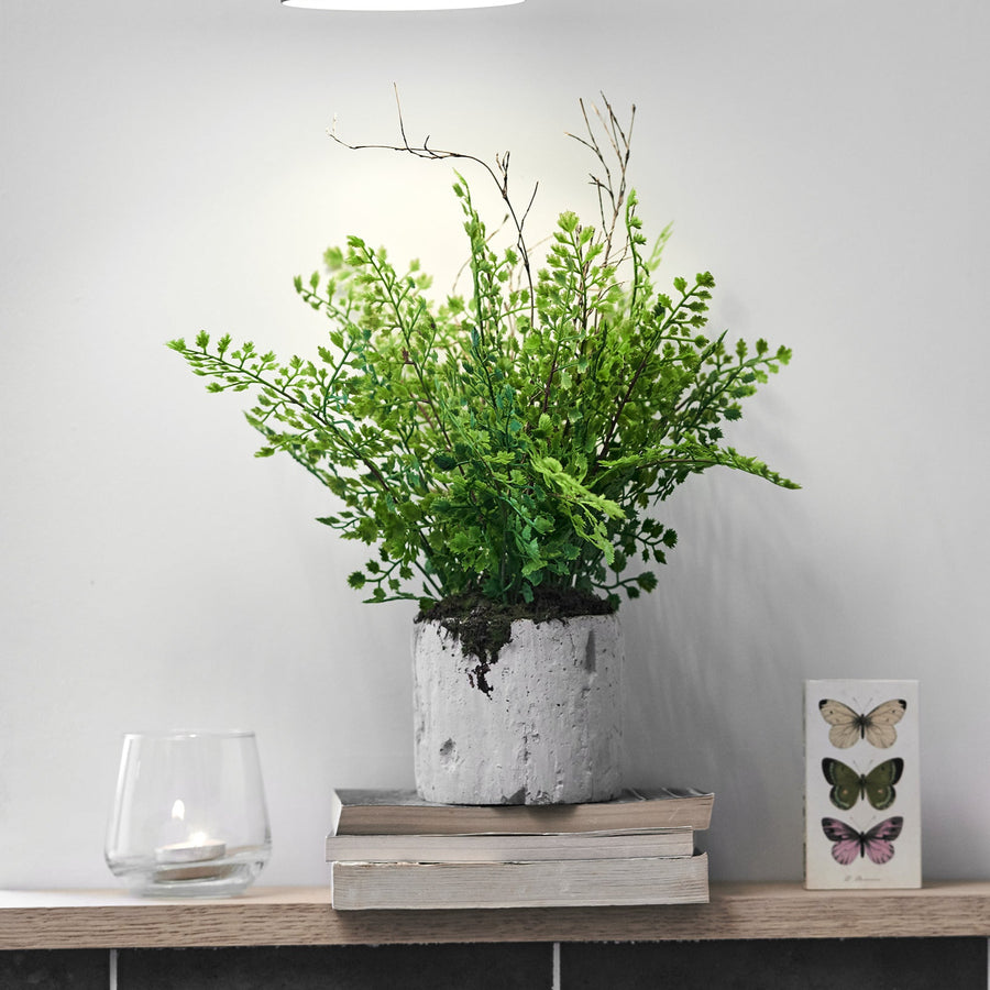 Decorative shelf with a potted plant, books, and butterfly-themed picture frame against a gray wall.