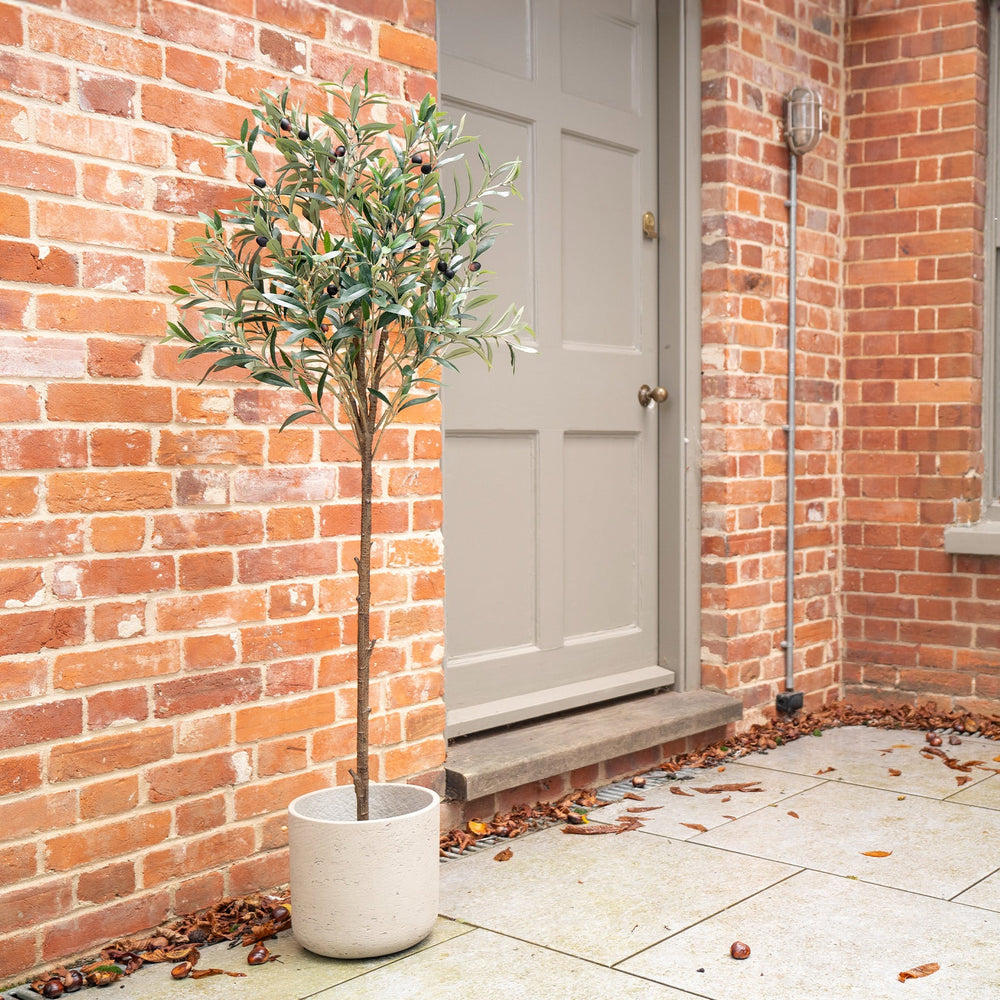 Potted plant in front of a brick building with a door and window.