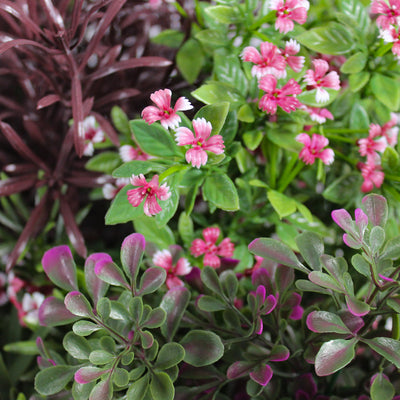 Artificial midnight falls window box flowers