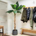 Entryway with coats hanging on a rack, a plant, and a bench.