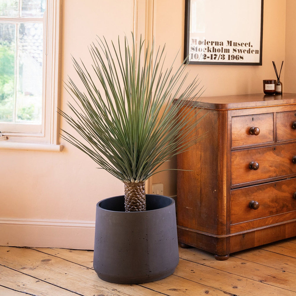 Wooden dresser with a plant and framed artwork on a wooden floor.