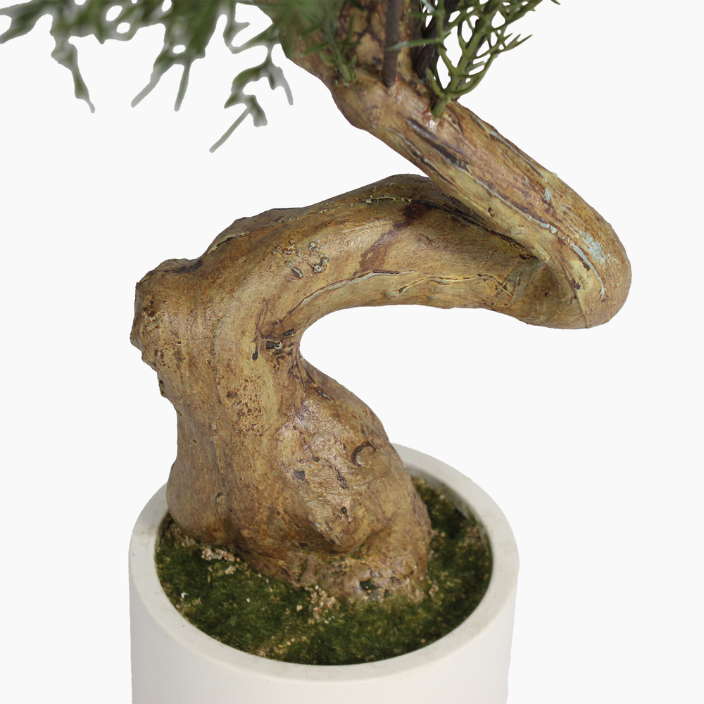 Artificial Norfolk pine bonsai trunk