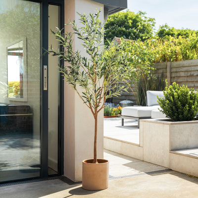 Potted plant on a patio with a modern building and garden in the background