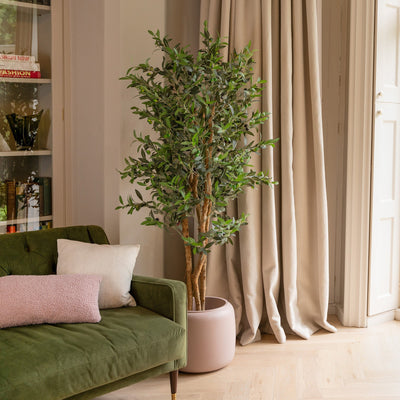 Living room with green sofa, plant, and large window