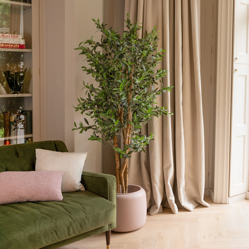 Living room with green sofa, plant, and large window