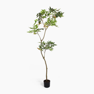 Artificial oriental lacquer tree
