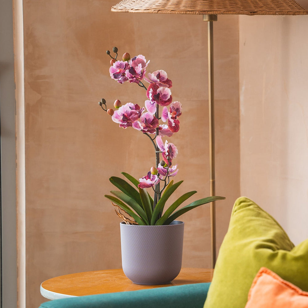 Potted orchid on a small table next to a green and orange sofa with a woven floor lamp in the background.