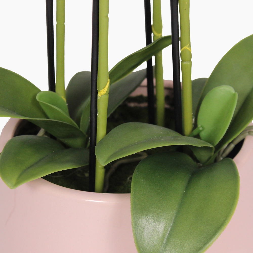 Artificial pink veined orchid leaves