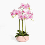 Artificial pink veined orchid