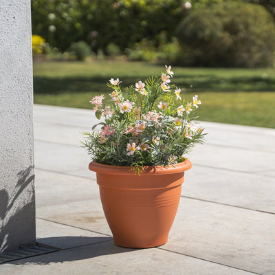 Terracotta pot with flowers on a stone patio