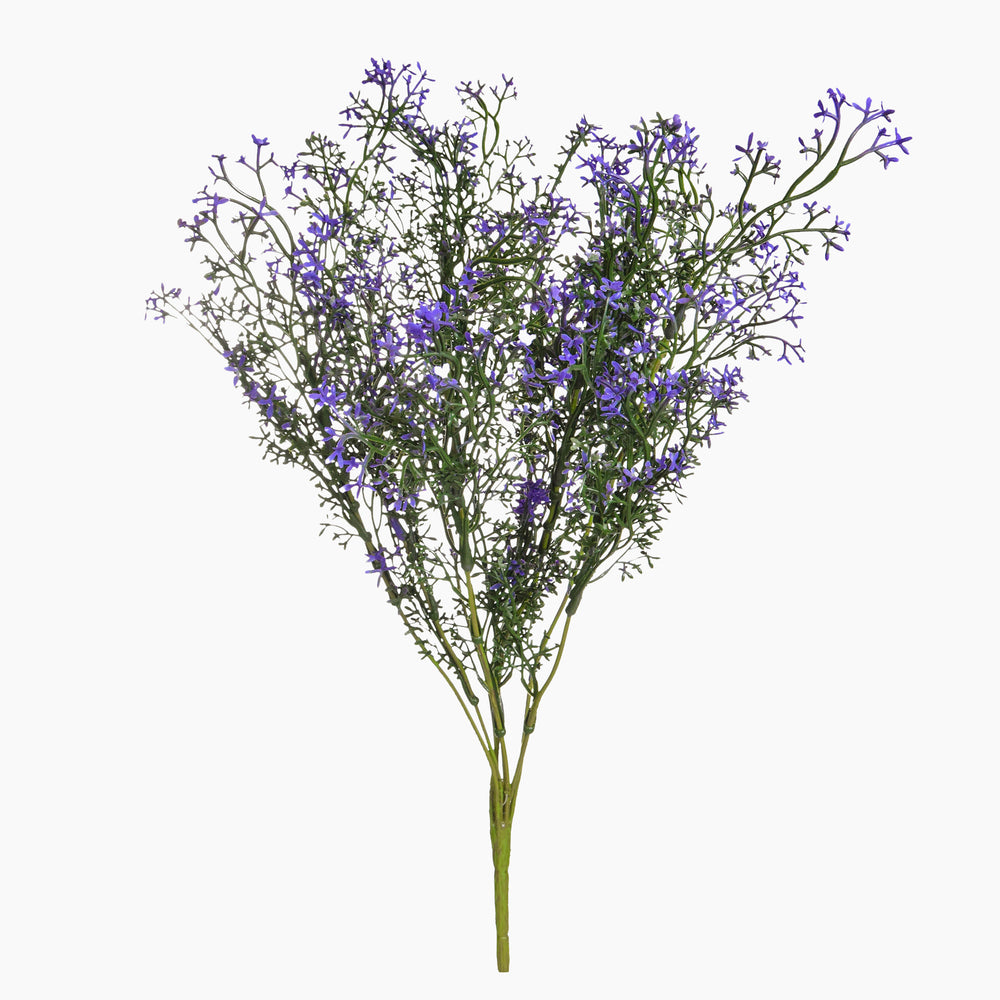 Bouquet of purple flowers on a white background