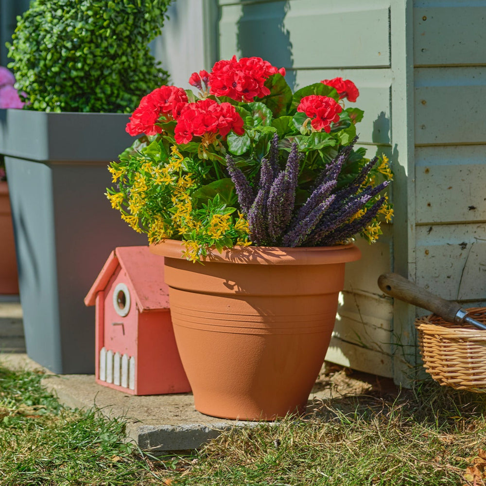 Potted plants and flowers in front of a wooden shed