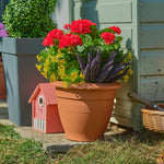 Potted plants and flowers in front of a wooden shed