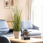 Potted plant on a table with a modern interior setting
