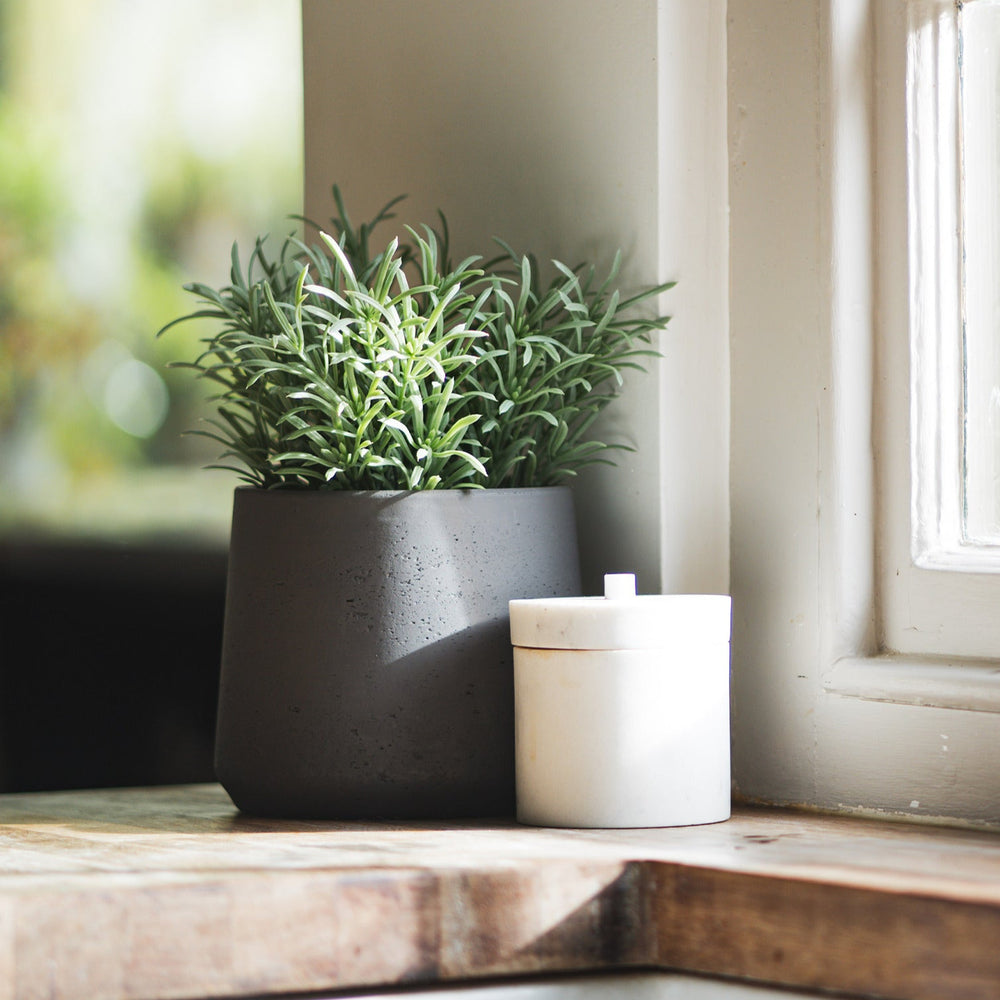 Potted plant and white candle on a windowsill with natural light