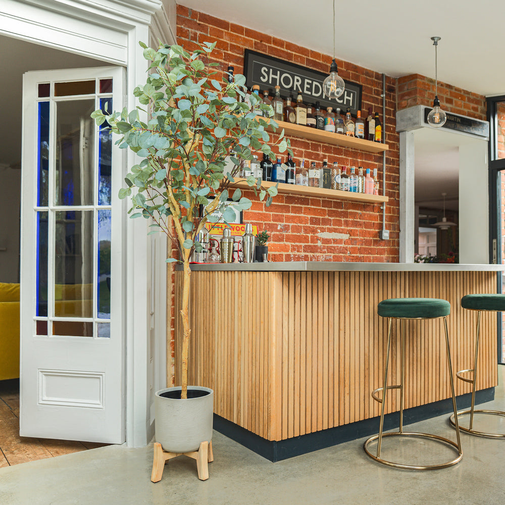 Bar area with wooden counter, shelves with bottles, and a plant in a modern interior setting.
