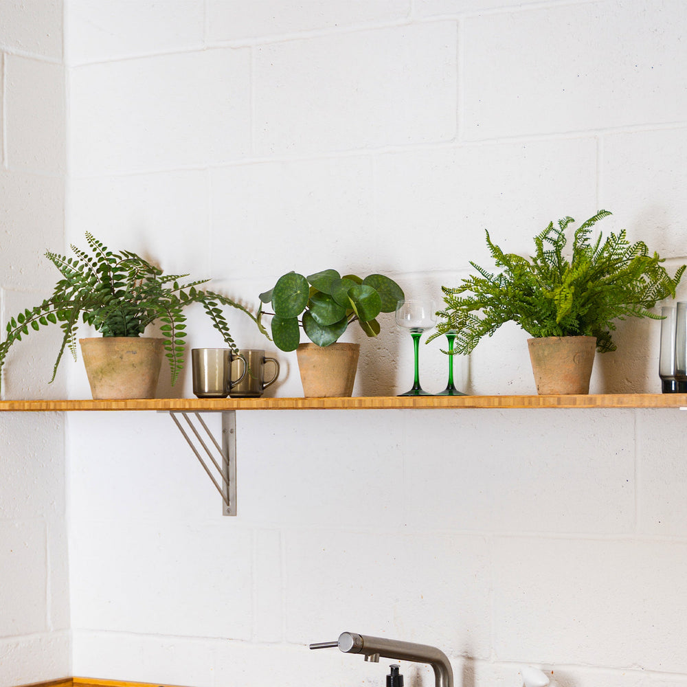 Shelf with potted plants and cups against a white tiled wall