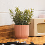 Artificial thyme herb plant in pink pot in kitchen