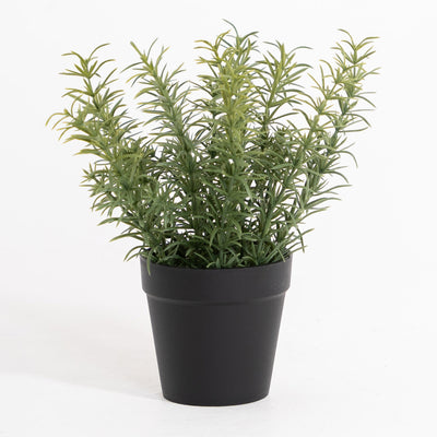 Artificial thyme plant