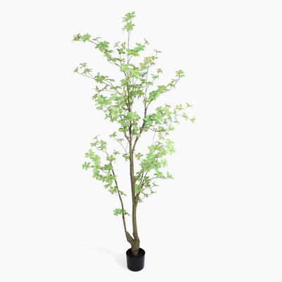 Artificial potted tree with green leaves on a white background