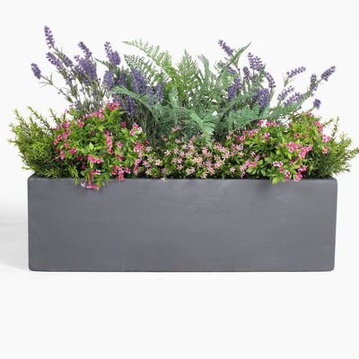 Urban garden window box