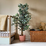 Children's room with a bed, potted plant, and wicker chest with teddy bear.