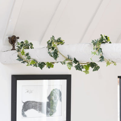 Framed artwork on a white wall with green ivy garland