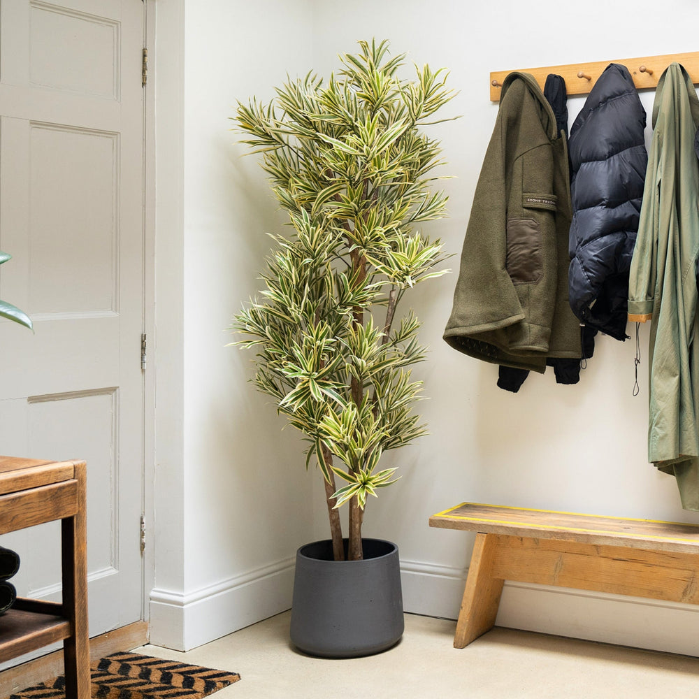 Entryway with coats hanging on a rack, a plant, and a wooden bench.