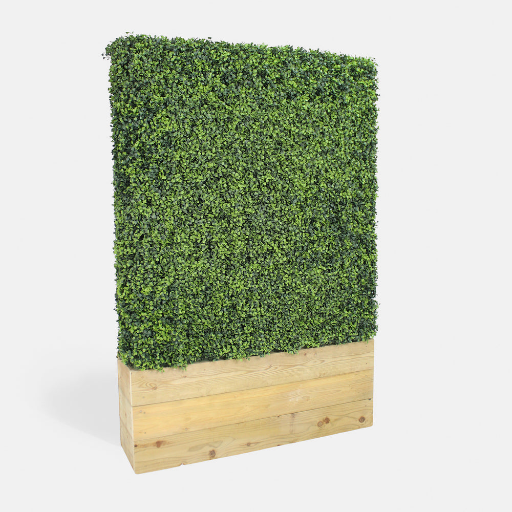 Artificial boxwood hedge in a wooden planter on a white background