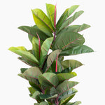 Artificial 105cm rubber tree foliage