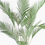 Artificial majesty palm foliage
