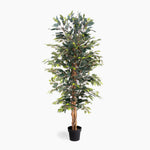 Artificial potted tree with green leaves on a white background