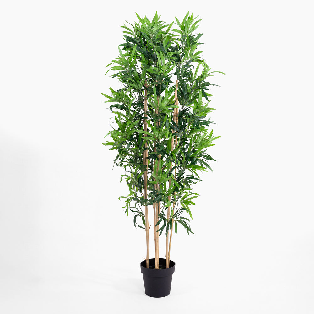 Potted artificial bamboo plant on a white background