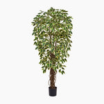 Potted artificial fiddle leaf fig tree on a white background